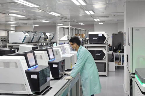 清明節放假安排來啦 新冠病毒疫苗即將進入動物攻毒保護試驗